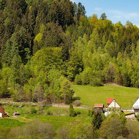 Hotel Petra Байрсброн Экстерьер фото